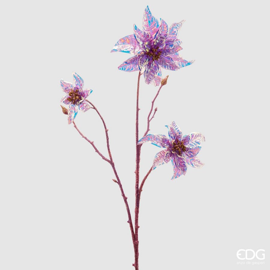 Degë dekorative