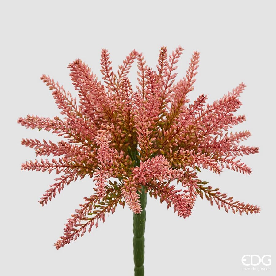 Lule Dekorative Erica  