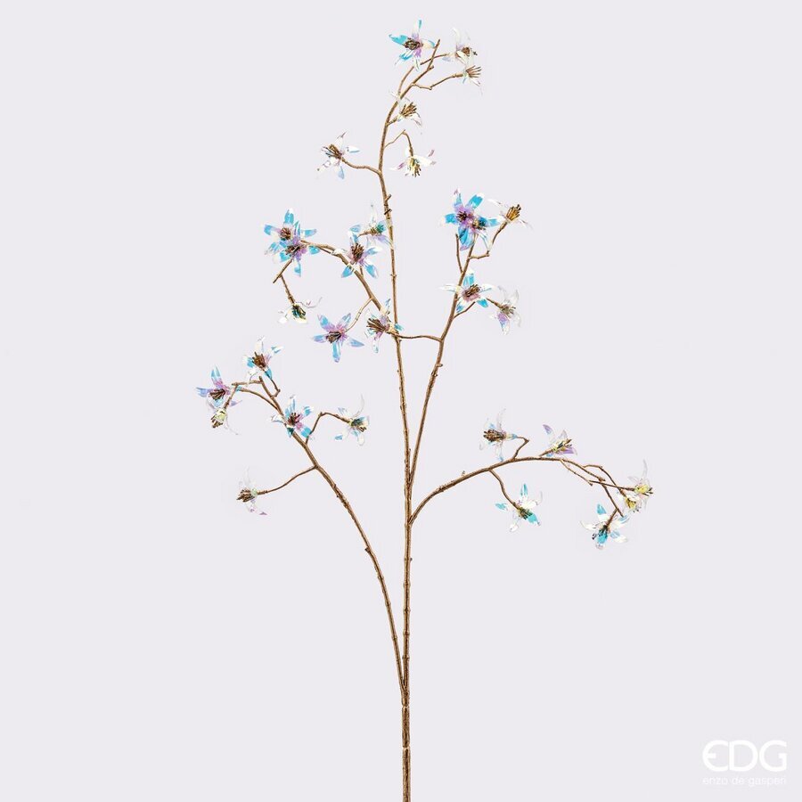Degë Dekorative 