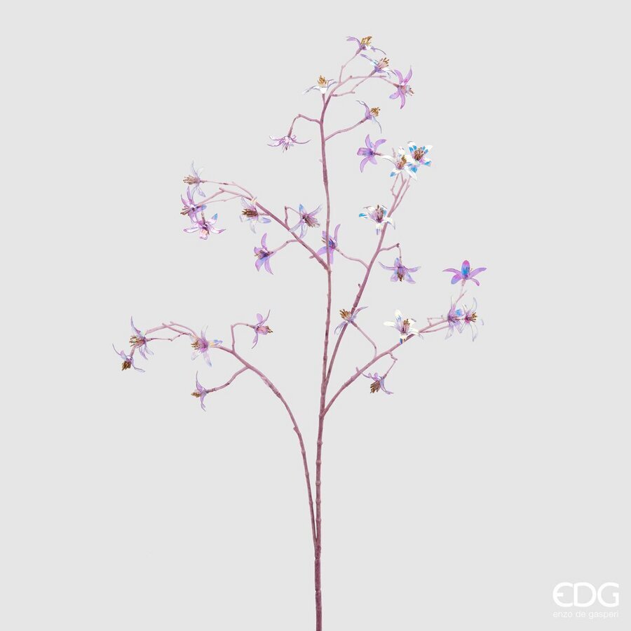 Degë Dekorative 