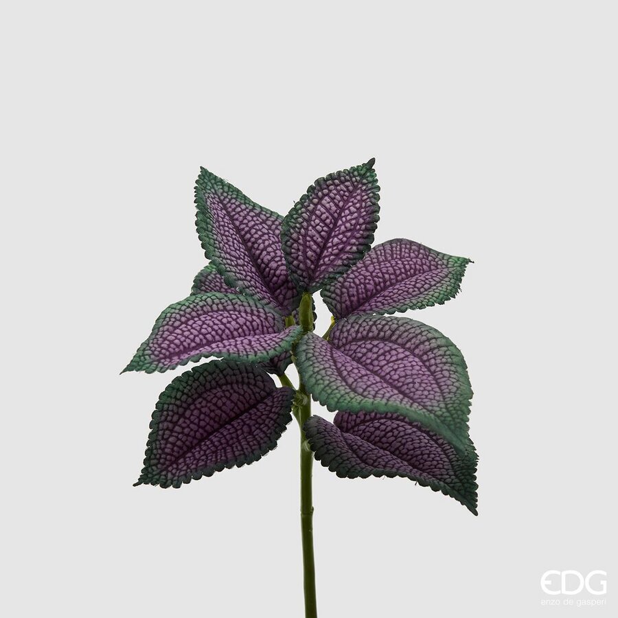 Degë Dekorative 