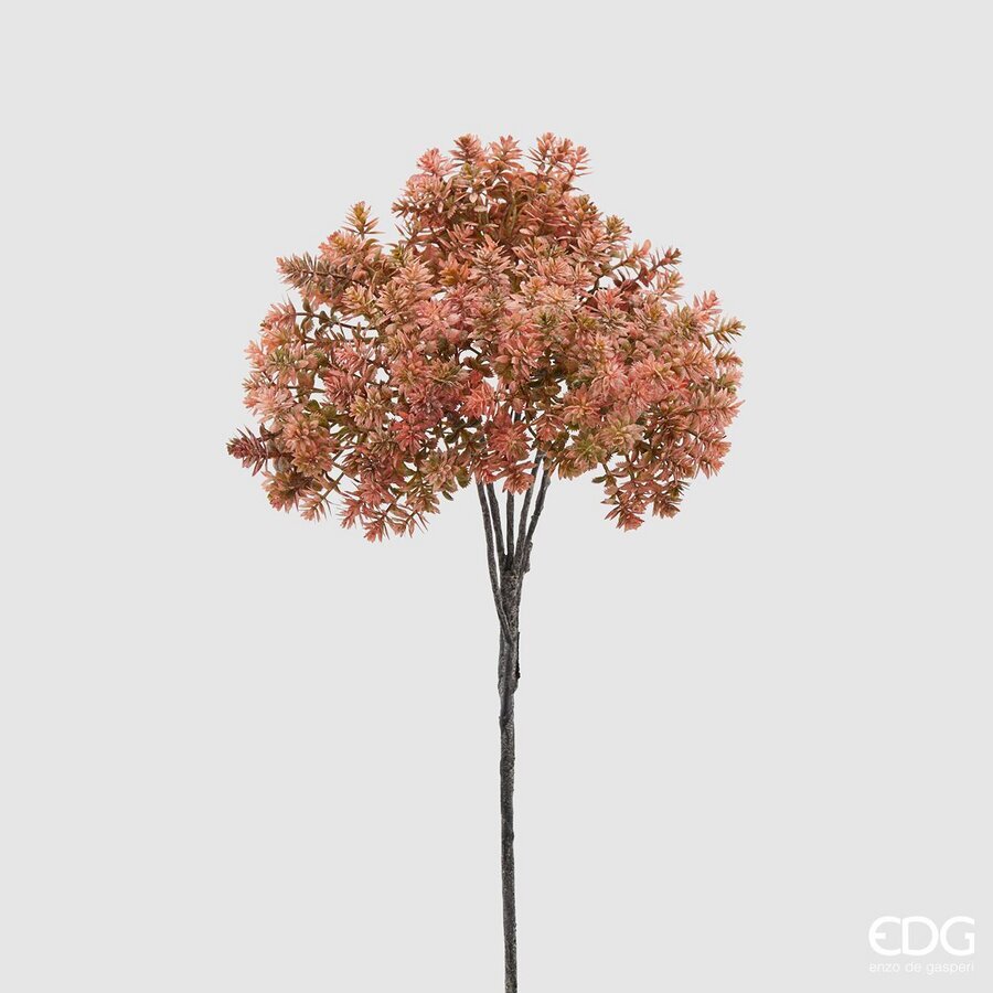 Degë Dekorative 