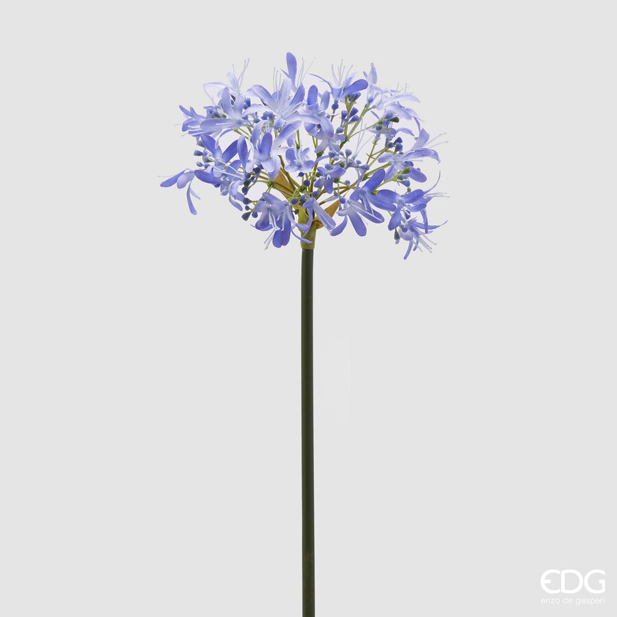 Lule Artificiale, Agapanthus