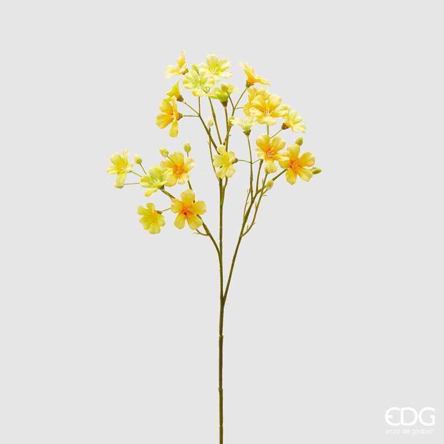 Degë Dekorative