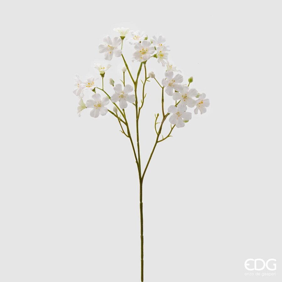 Degë Dekorative