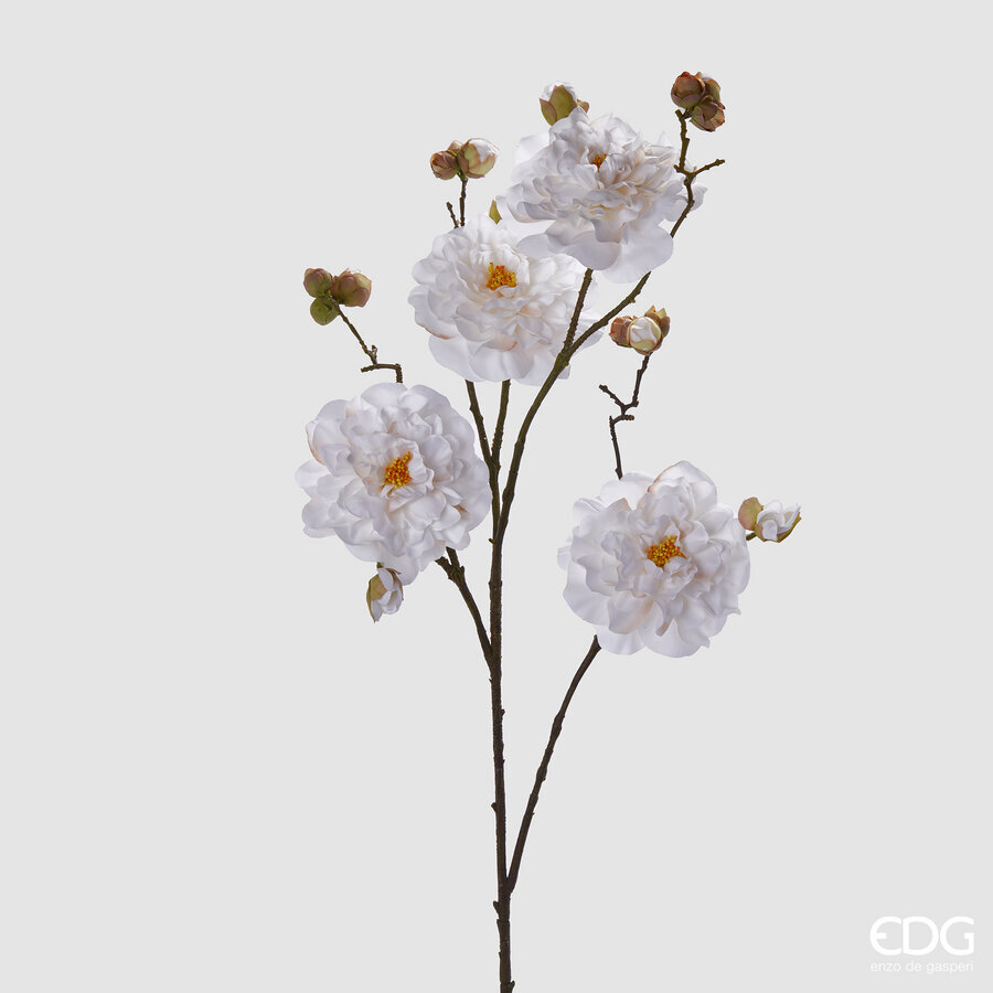 Degë Dekorative (x4)