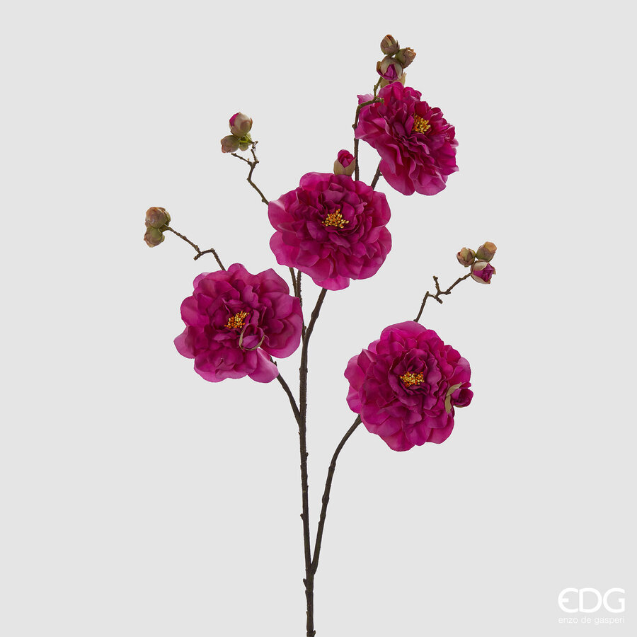 Degë Dekorative (x4)