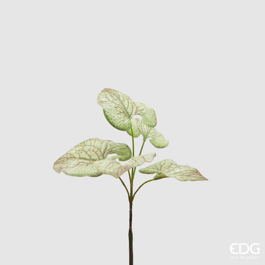 Degë Dekorative