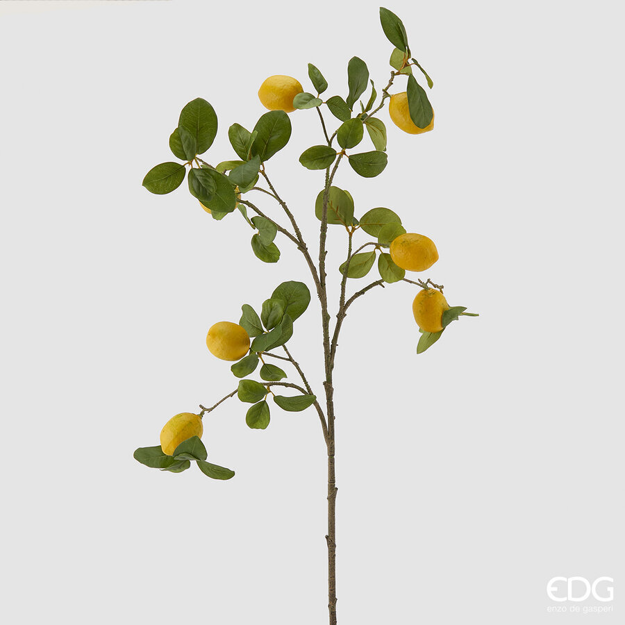 Degë Dekorative