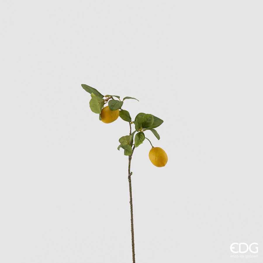 Degë Dekorative