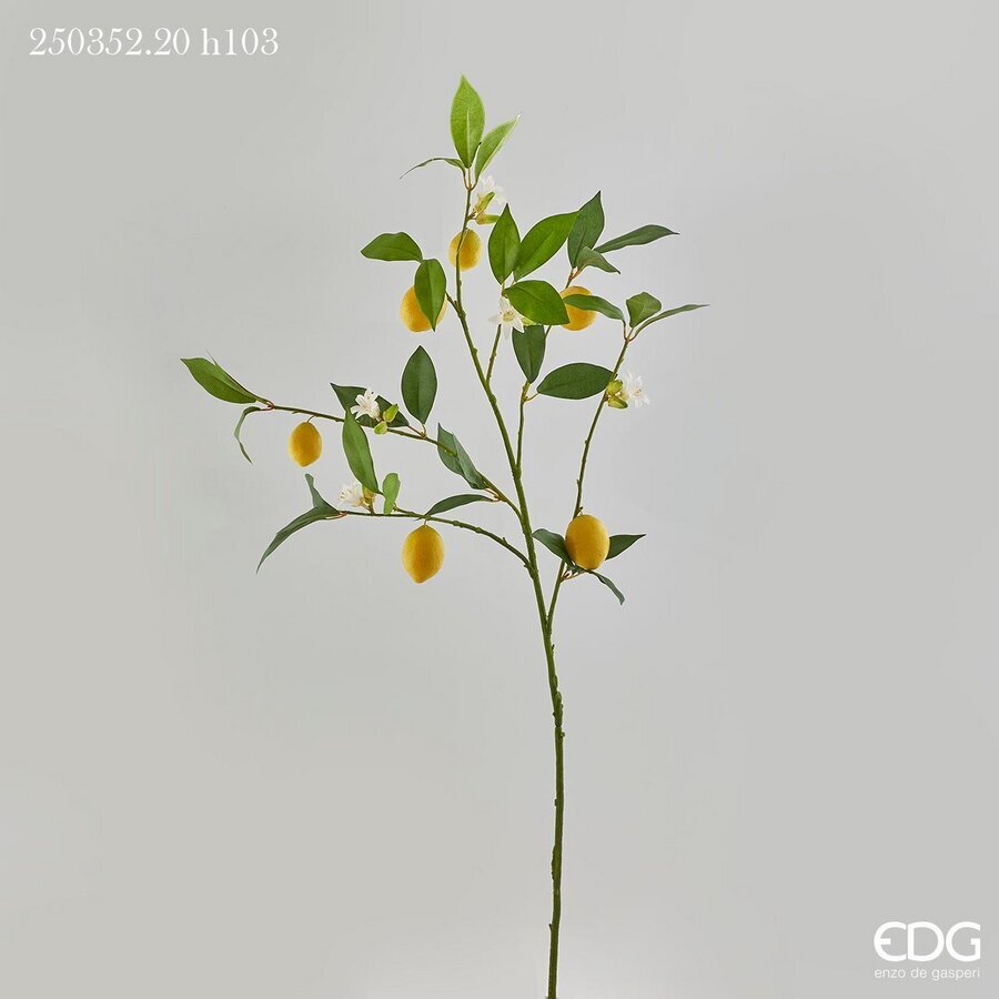 Degë Dekorative