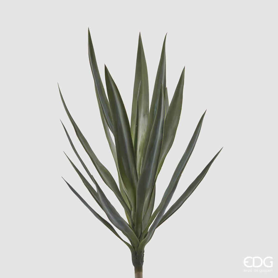 Degë Dekorative