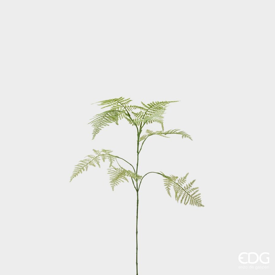 Degë Dekorative