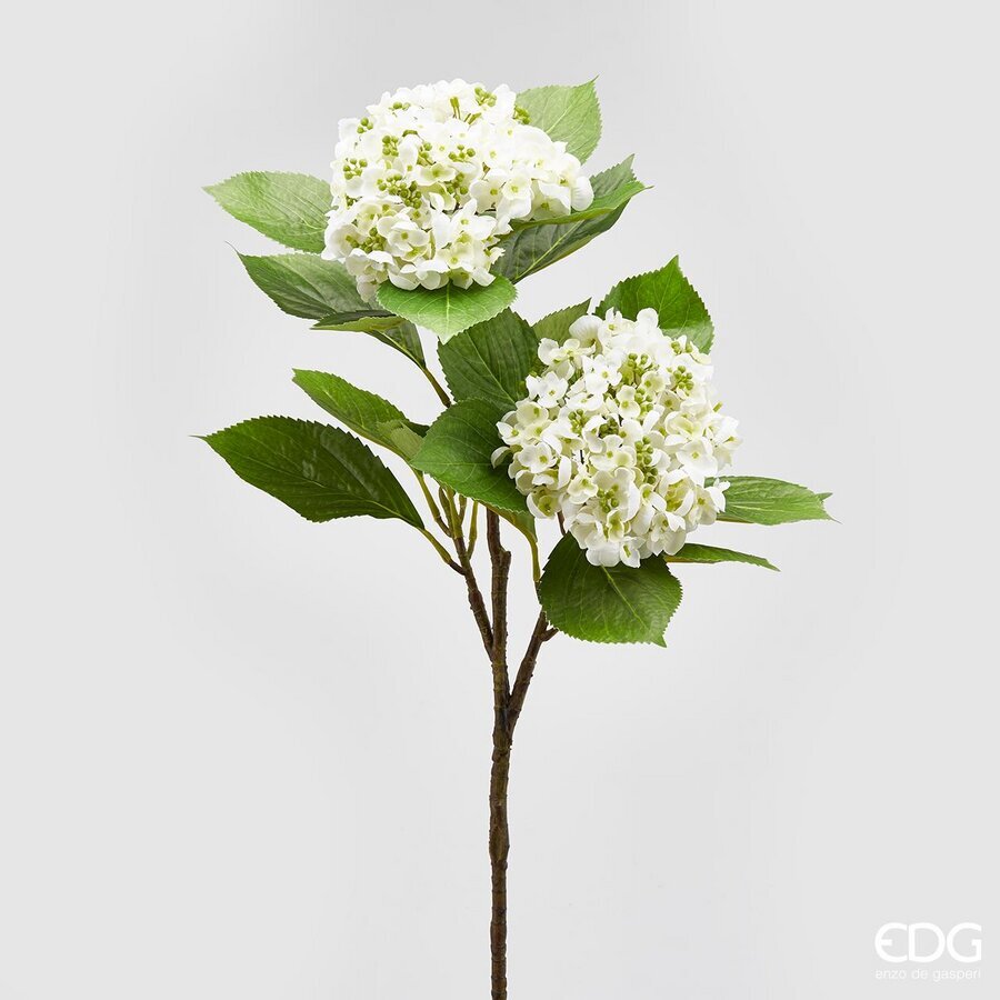 Degë Dekorative (x2)