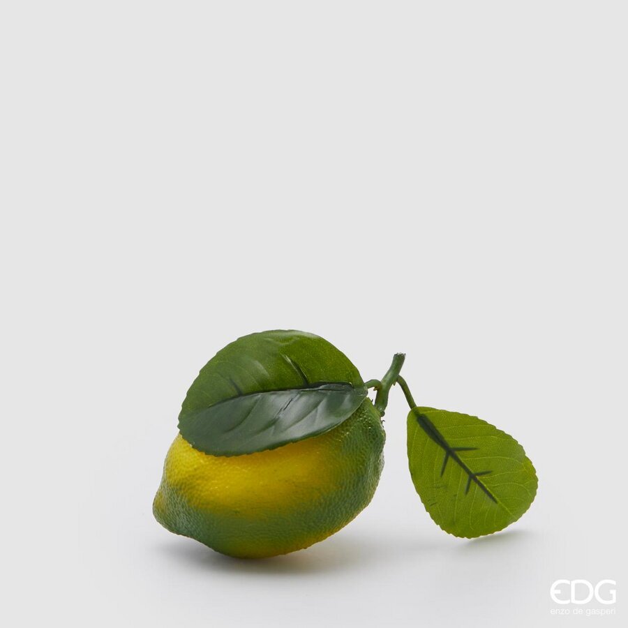 Dekor Limon Me Gjethe