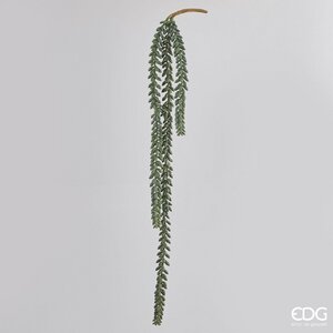 Degë Dekorative