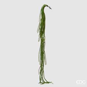 Degë Dekorative