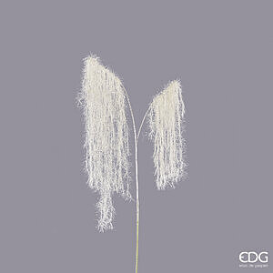 Degë Dekorative Shelgu