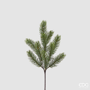 Degë Dekorative Pishe