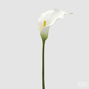 Degë Calla