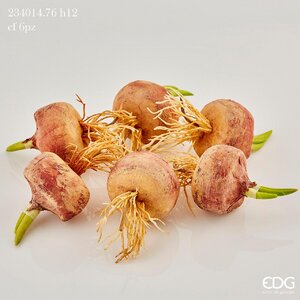 Zhardhok dekorativ me rrënjë – set me gjashtë copë