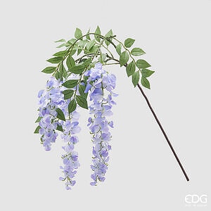 Degë dekorative wisteria