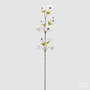 Degë dekorative klematis